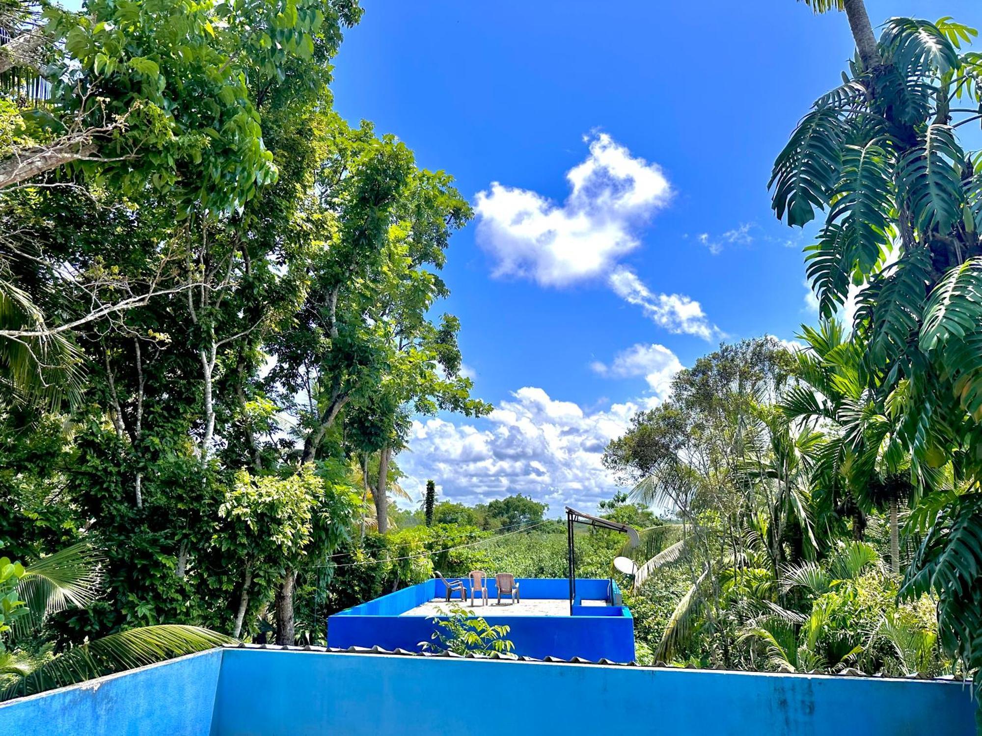 Bed and Breakfast Jungle Fence Bentota Exterior foto